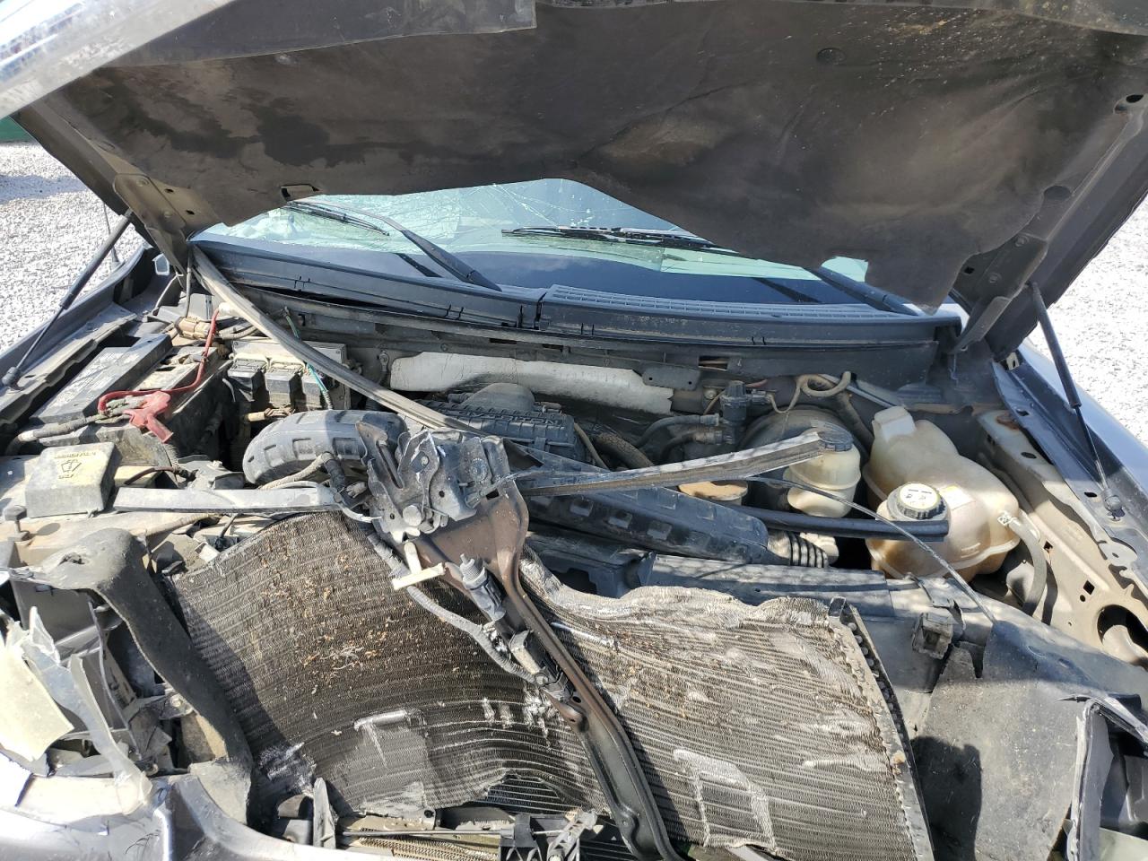 2007 Ford F150 Supercrew VIN: 1FTPW12V77KC93101 Lot: 59543244