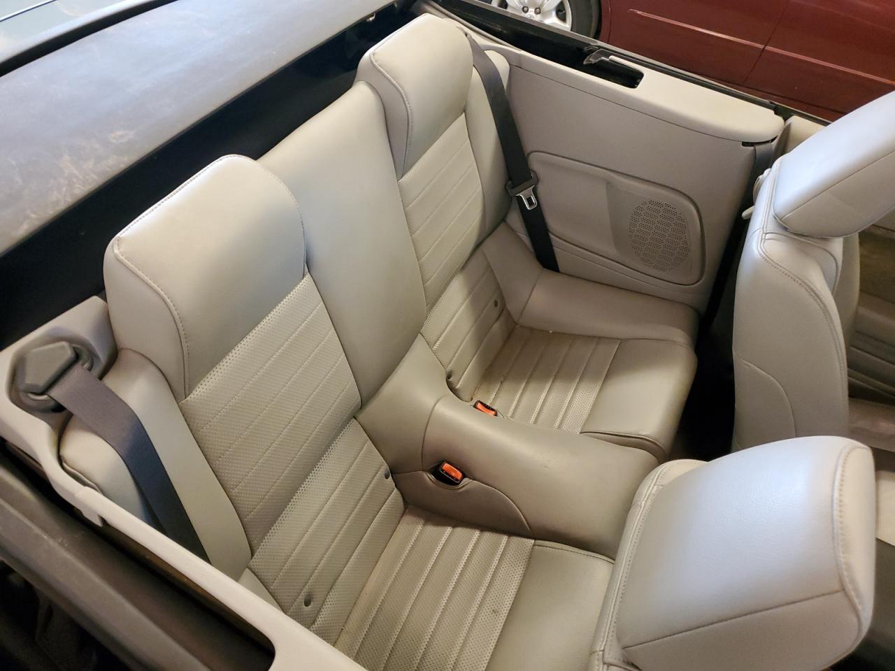 2006 Ford Mustang Gt VIN: 1ZVFT85H765132423 Lot: 56884124