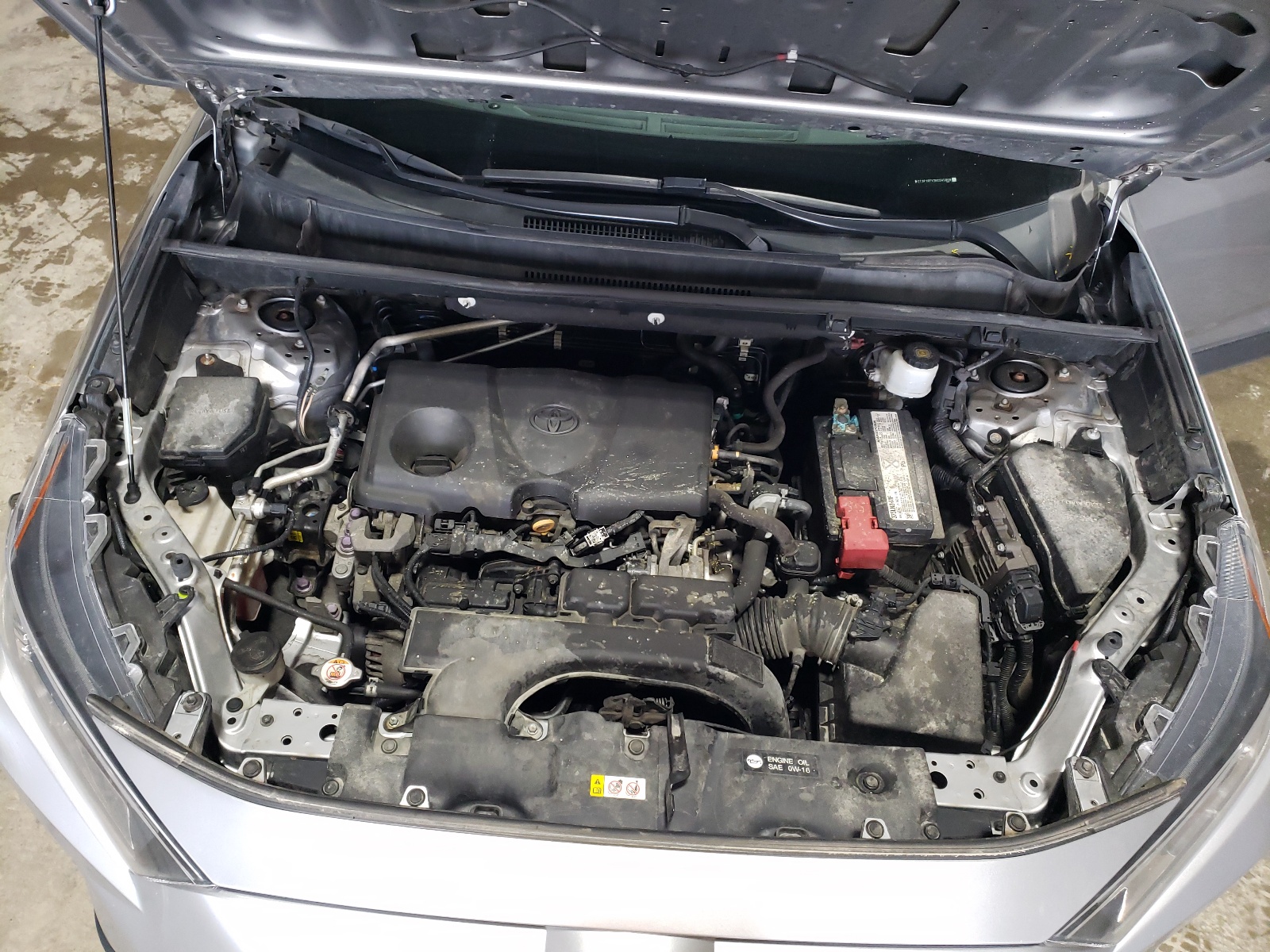 2T3P1RFV3KC045808 2019 Toyota Rav4 Xle