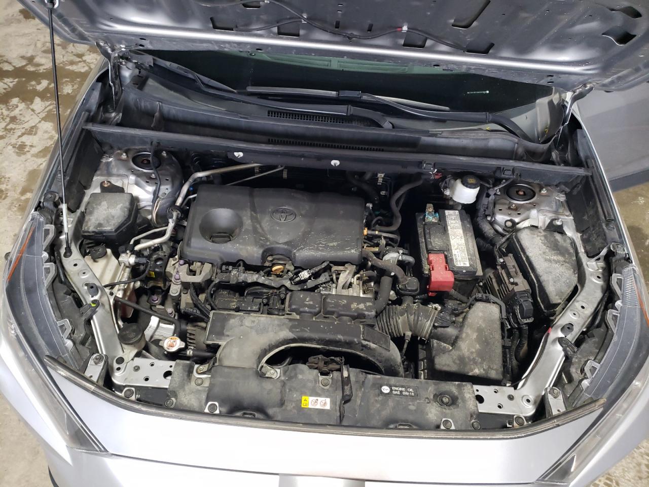 2019 Toyota Rav4 Xle VIN: 2T3P1RFV3KC045808 Lot: 57160294