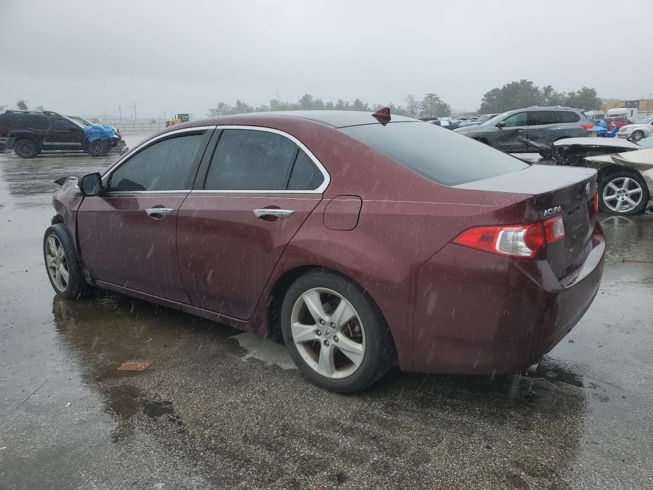 2009 Acura Tsx VIN: JH4CU26619C028294 Lot: 59614244