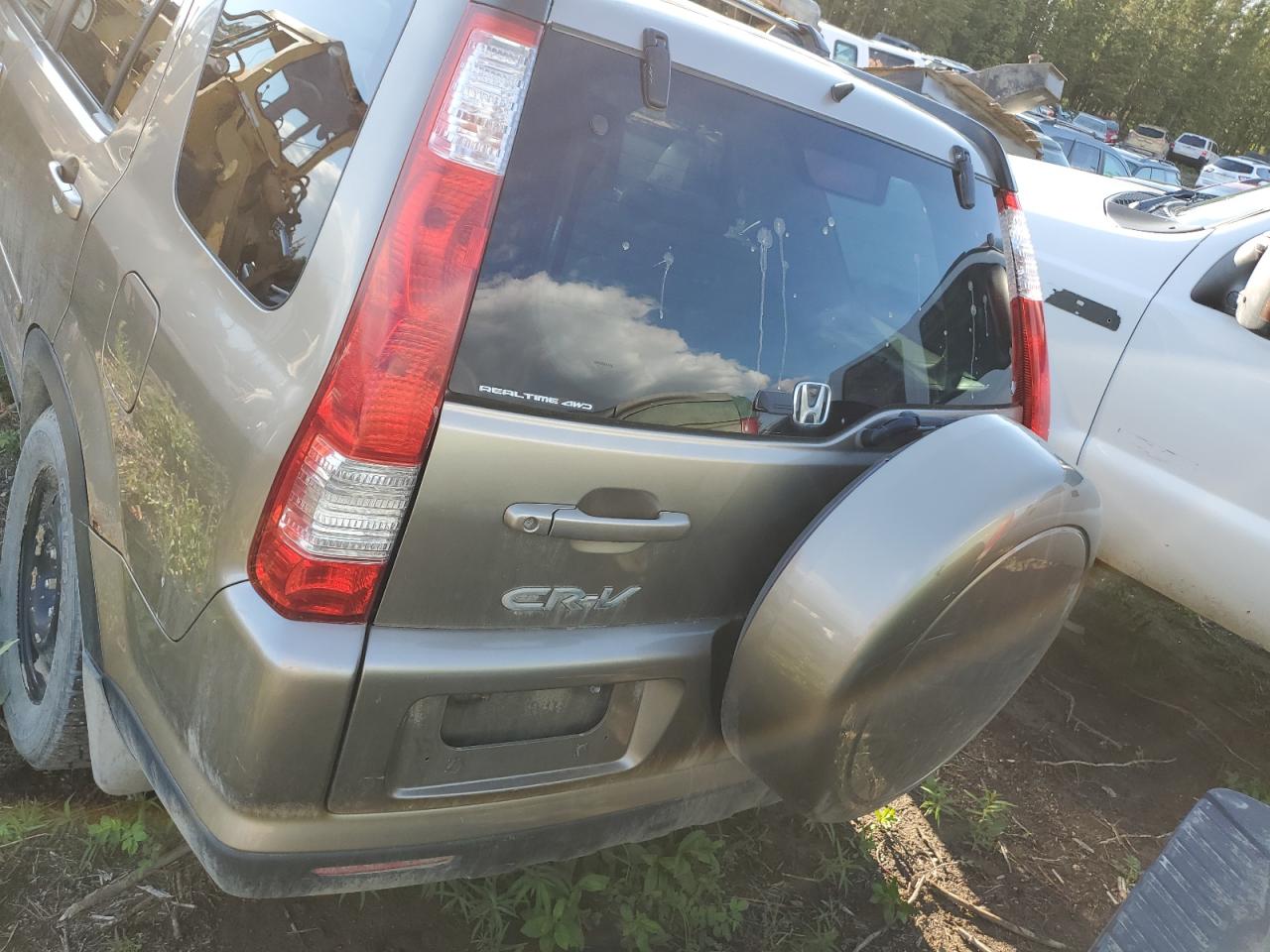 2005 Honda Cr-V Se VIN: JHLRD789X5C801423 Lot: 56002204