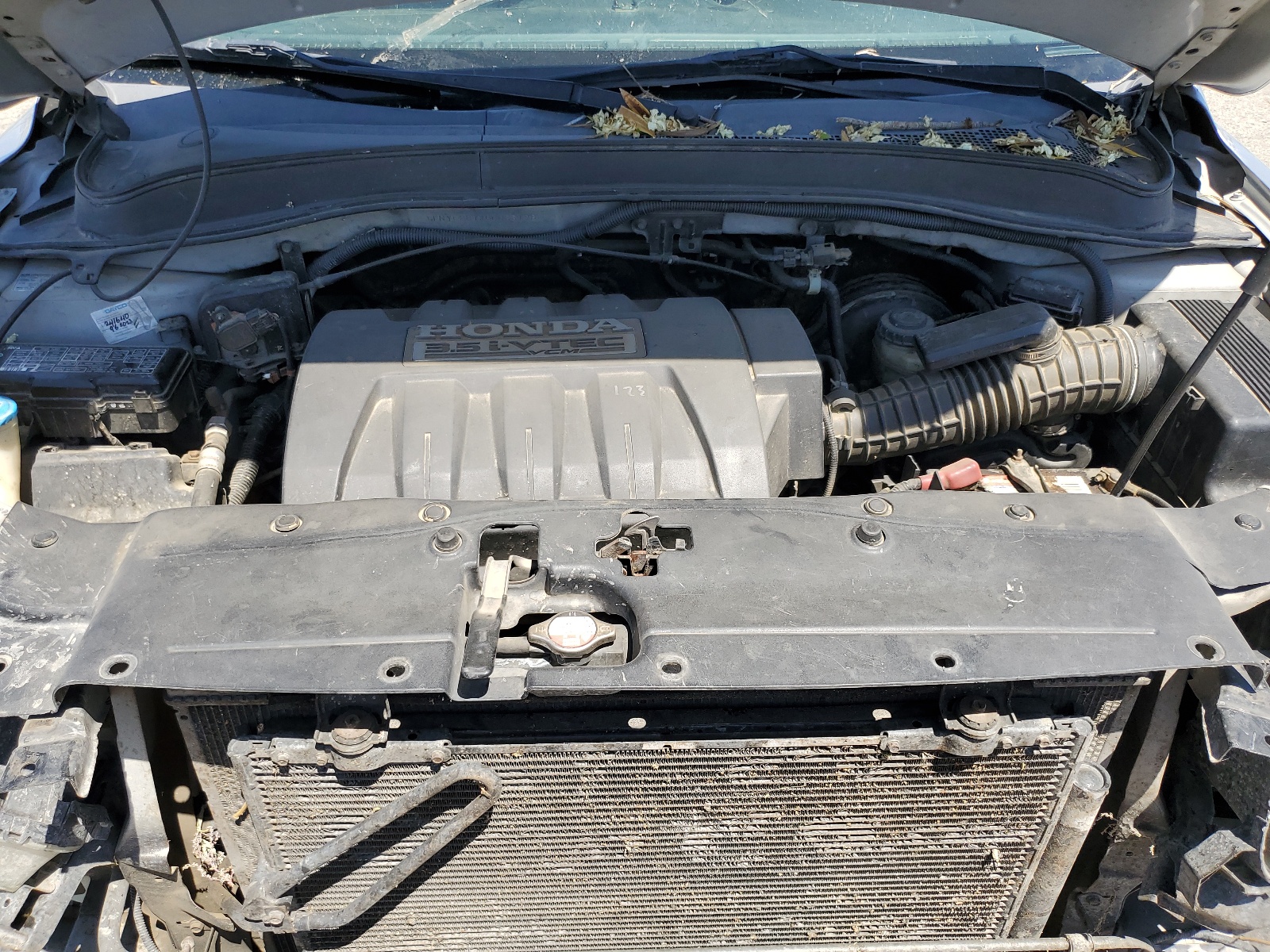 5FNYF287X6B038196 2006 Honda Pilot Ex