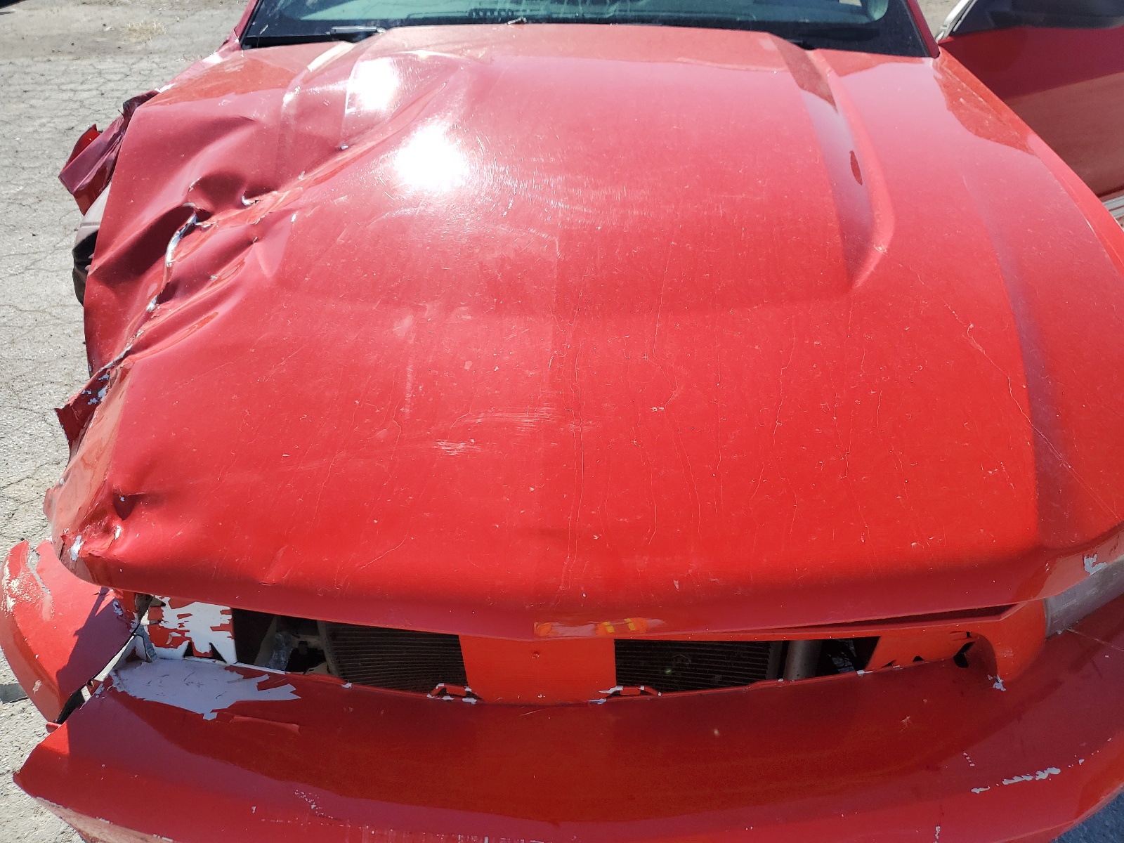 1ZVBP8AM3C5283390 2012 Ford Mustang