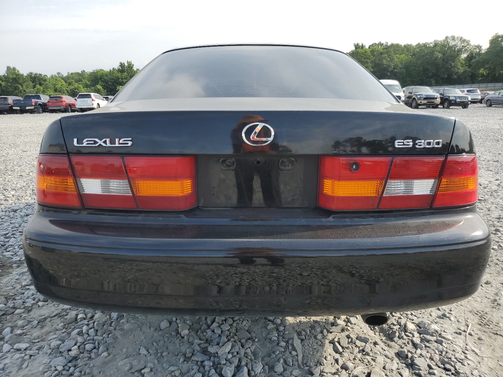 JT8BF28G7W5044351 1998 Lexus Es 300