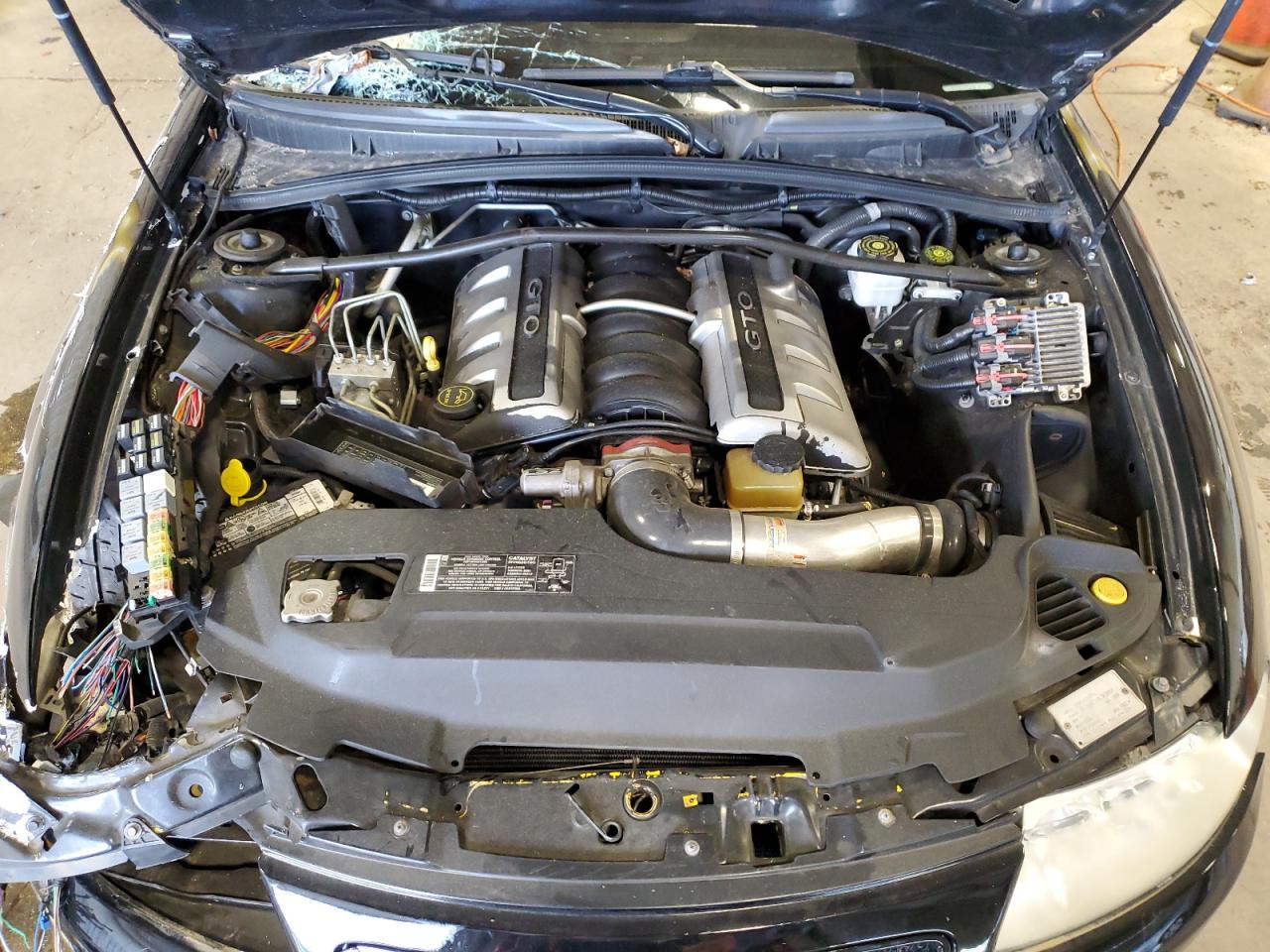 2005 Pontiac Gto VIN: 6G2VX12UX5L363457 Lot: 60888654