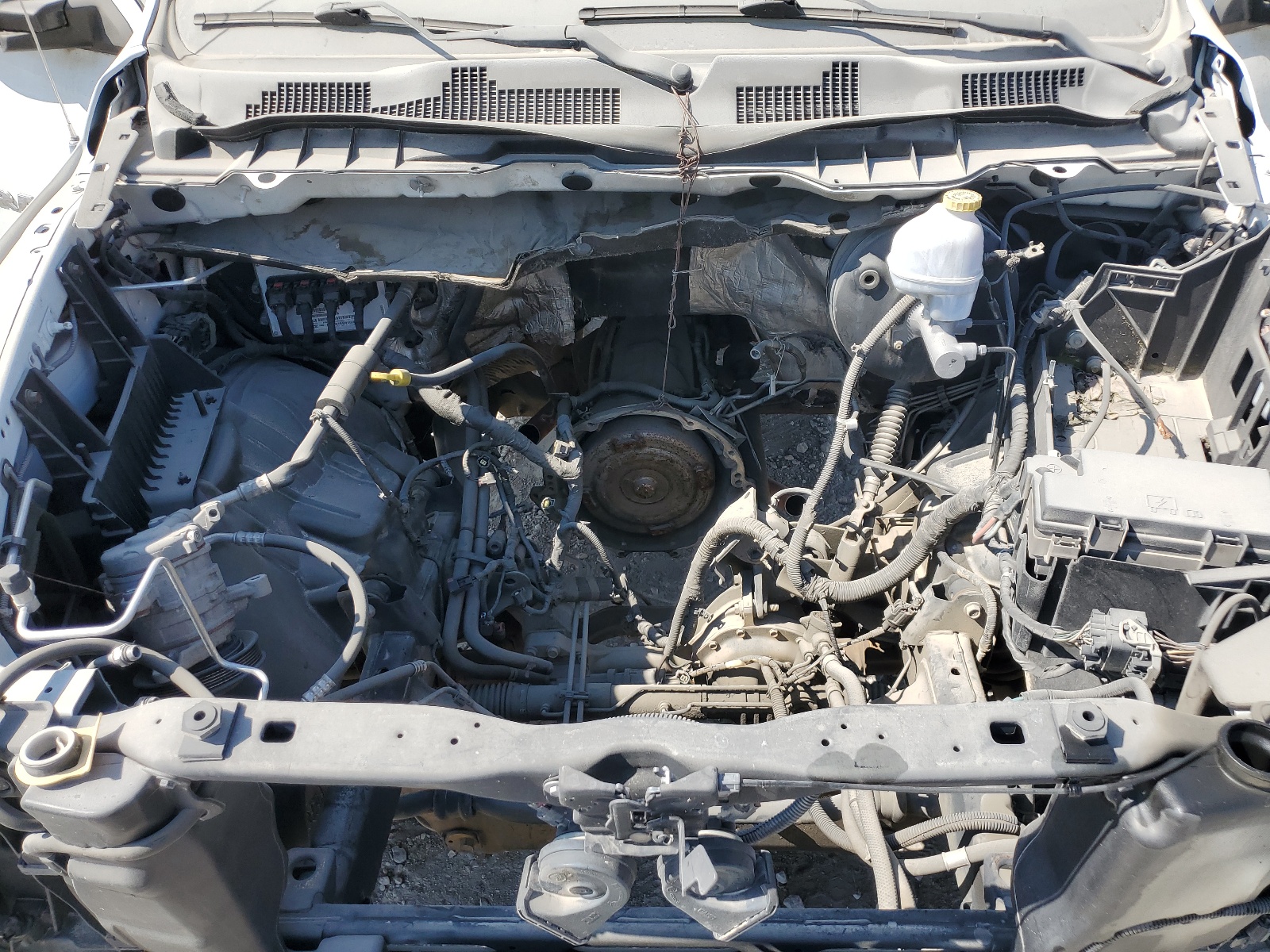 1D7RV1CP8BS697650 2011 Dodge Ram 1500