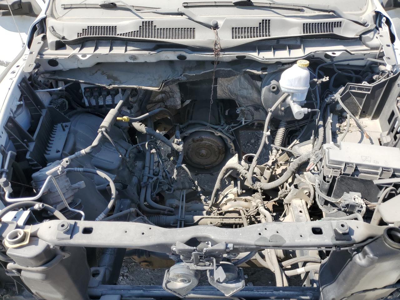 2011 Dodge Ram 1500 VIN: 1D7RV1CP8BS697650 Lot: 59229544