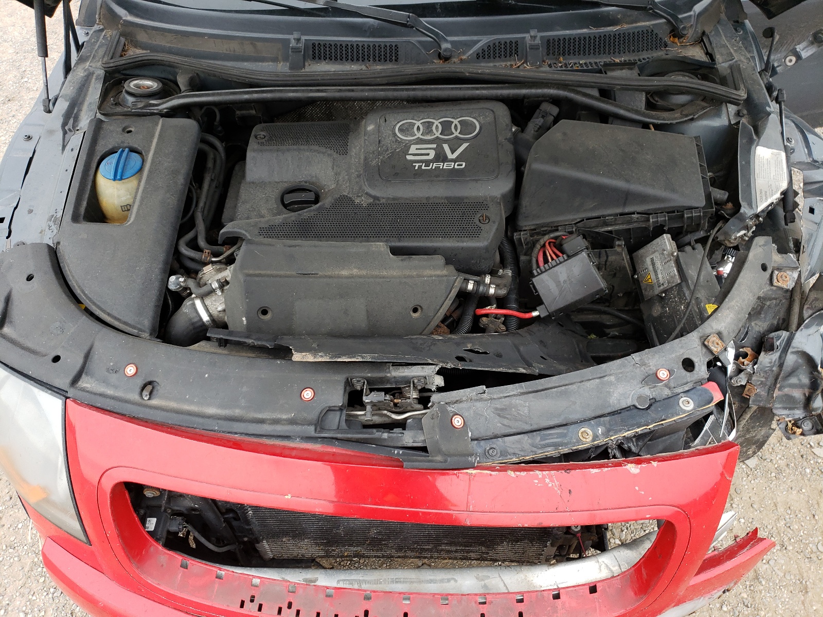 TRUSC28N441002822 2004 Audi Tt