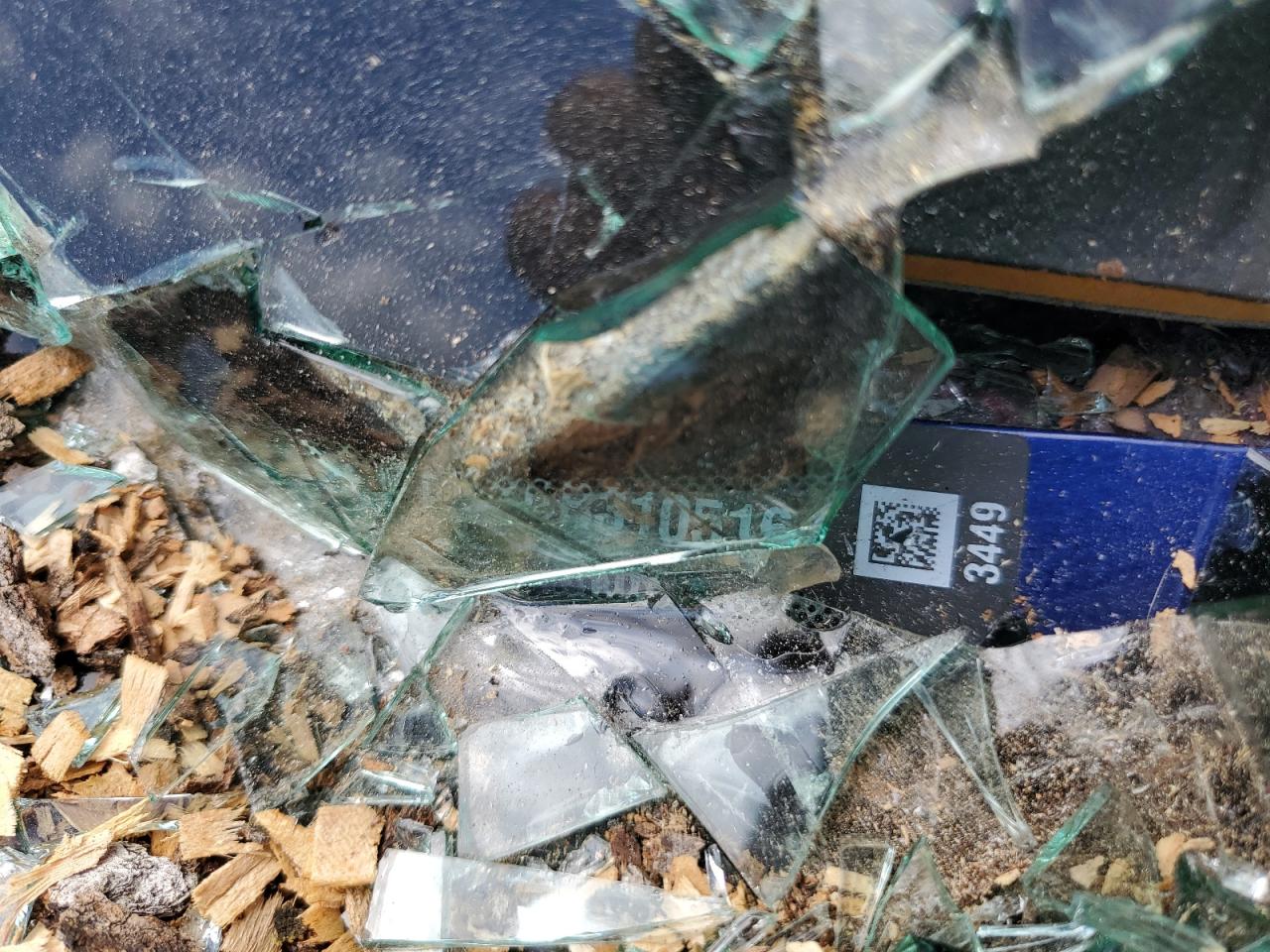 2013 Ford Fusion Se VIN: 3FA6P0H9XDR310516 Lot: 59990764