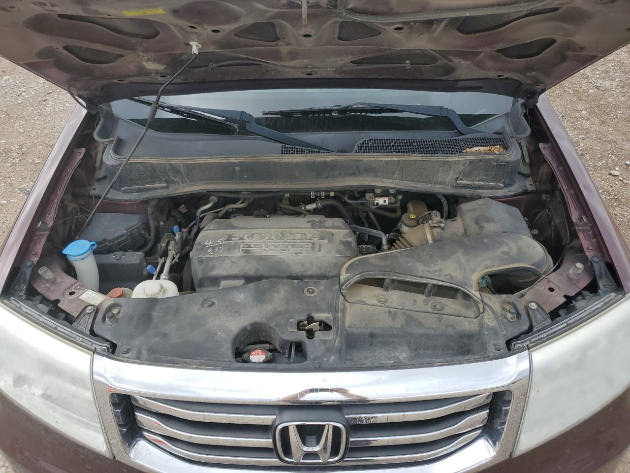 2013 Honda Pilot Exl VIN: 5FNYF4H5XDB033331 Lot: 59013874