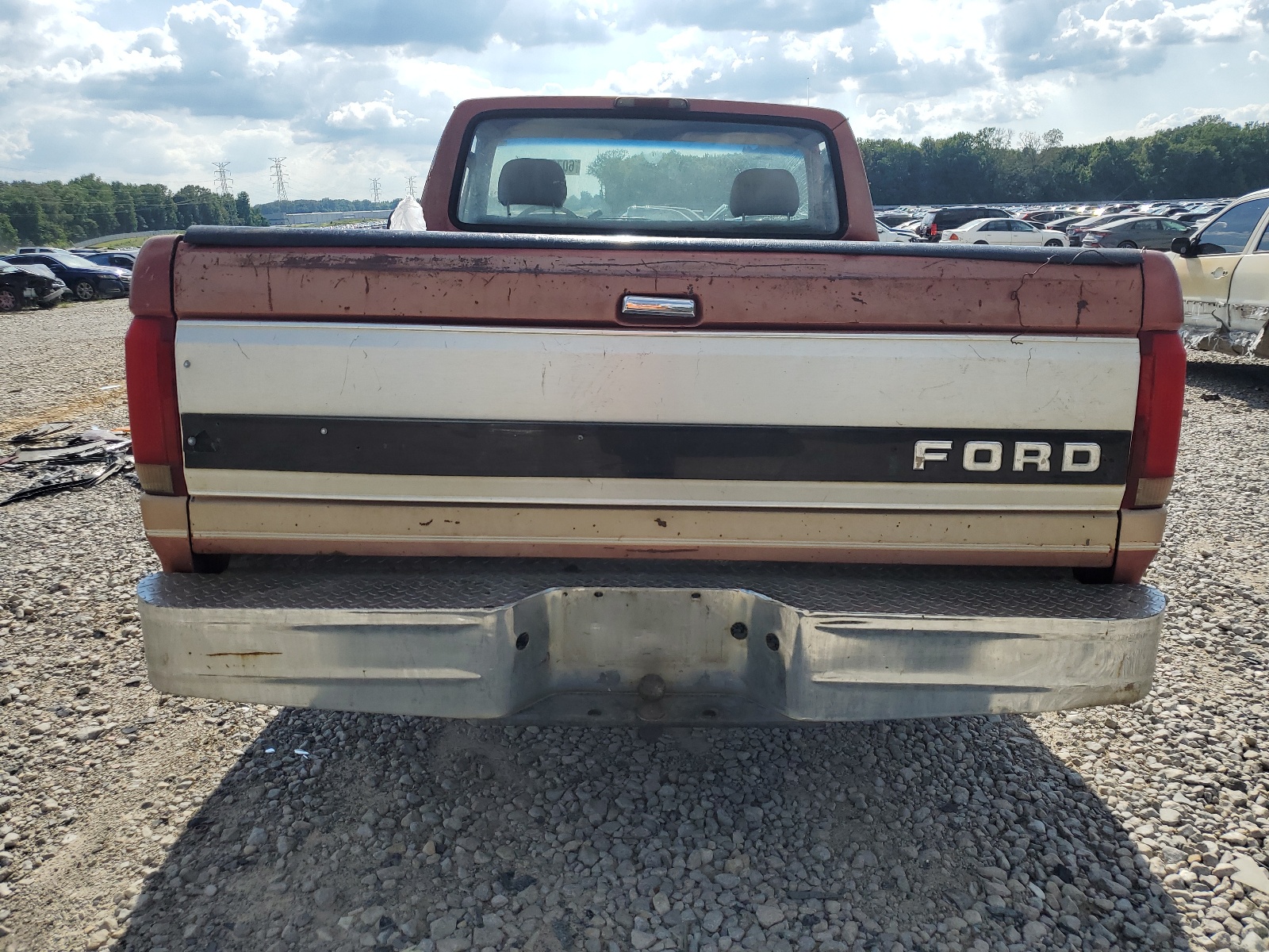 1FTEF15N6RNB55084 1994 Ford F150