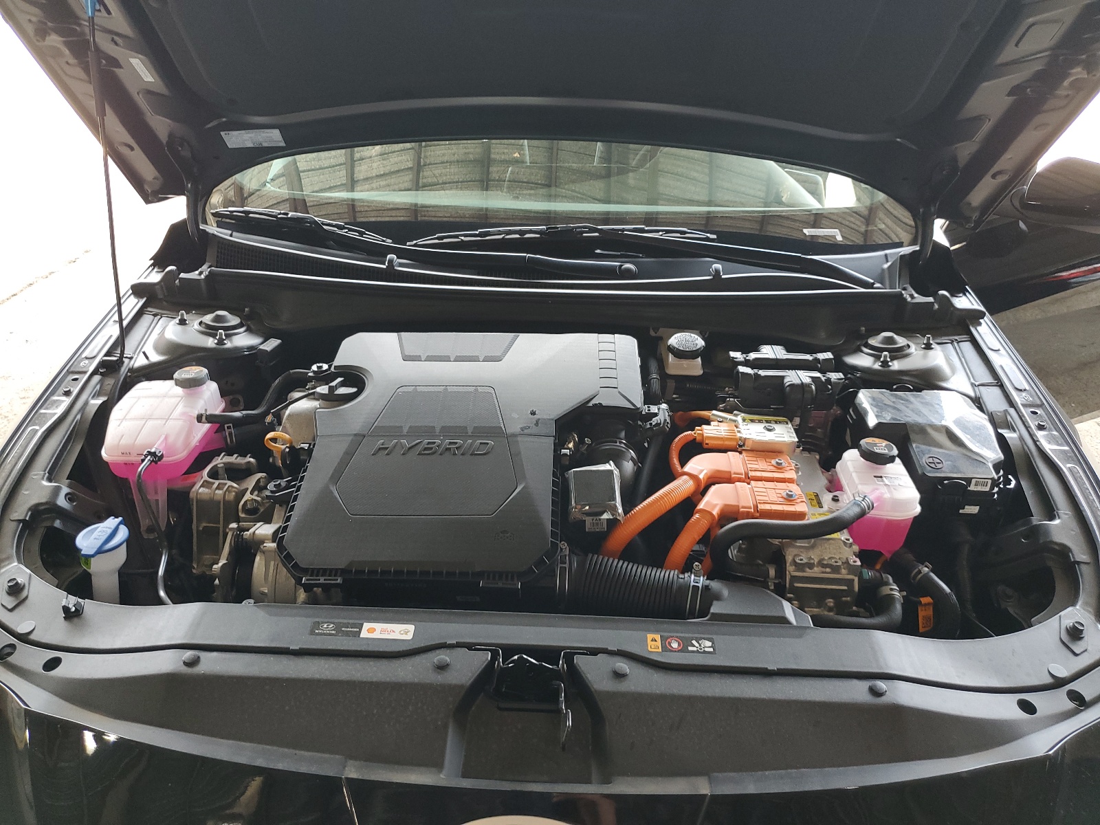 KMHLM4DJ0RU094846 2024 Hyundai Elantra Blue