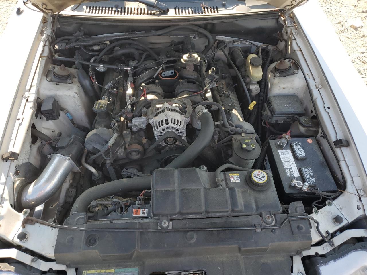 2003 Ford Mustang Gt VIN: 1FAFP42X63F451707 Lot: 58305644