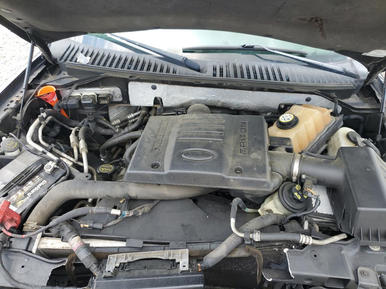 2007 Ford Expedition El Eddie Bauer VIN: 1FMFK17567LA44326 Lot: 57624434