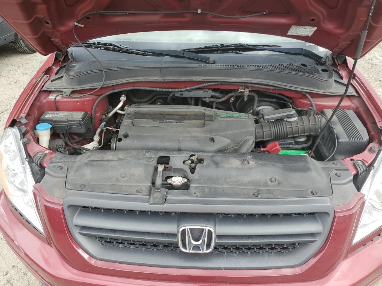 2004 Honda Pilot Exl VIN: 2HKYF18554H547331 Lot: 59247444