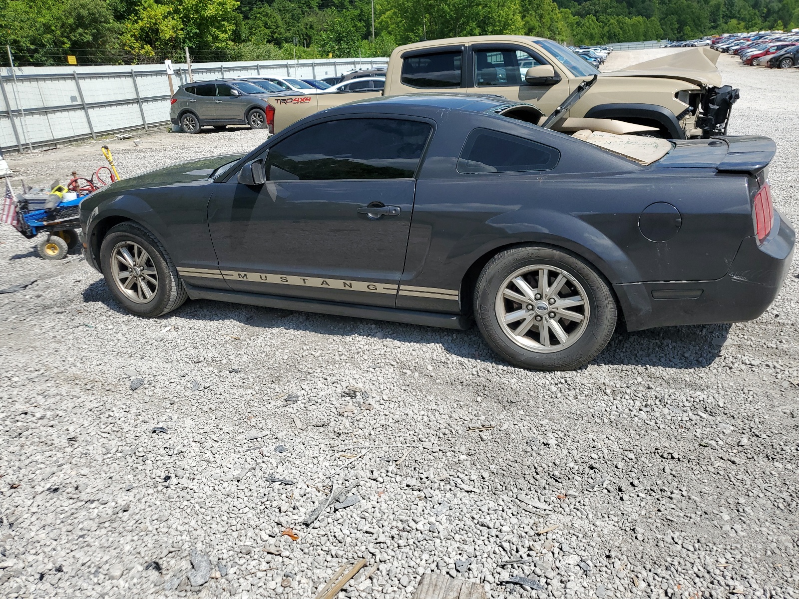 1ZVHT80N695118460 2009 Ford Mustang