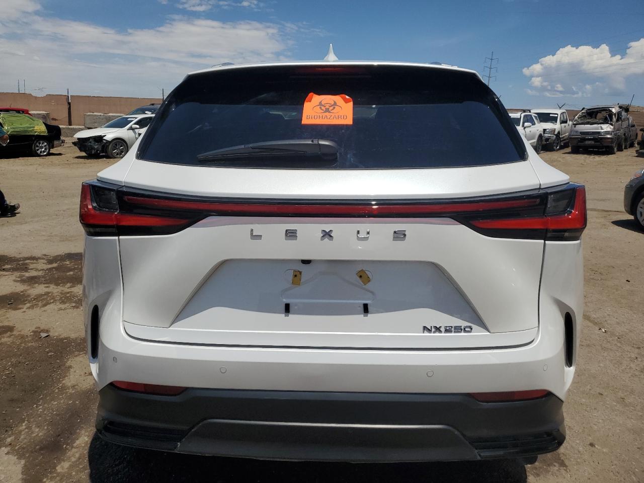 2024 Lexus NX - Image 6