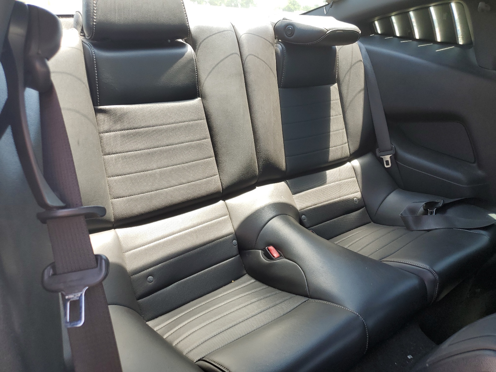 1ZVBP8AM3D5266669 2013 Ford Mustang