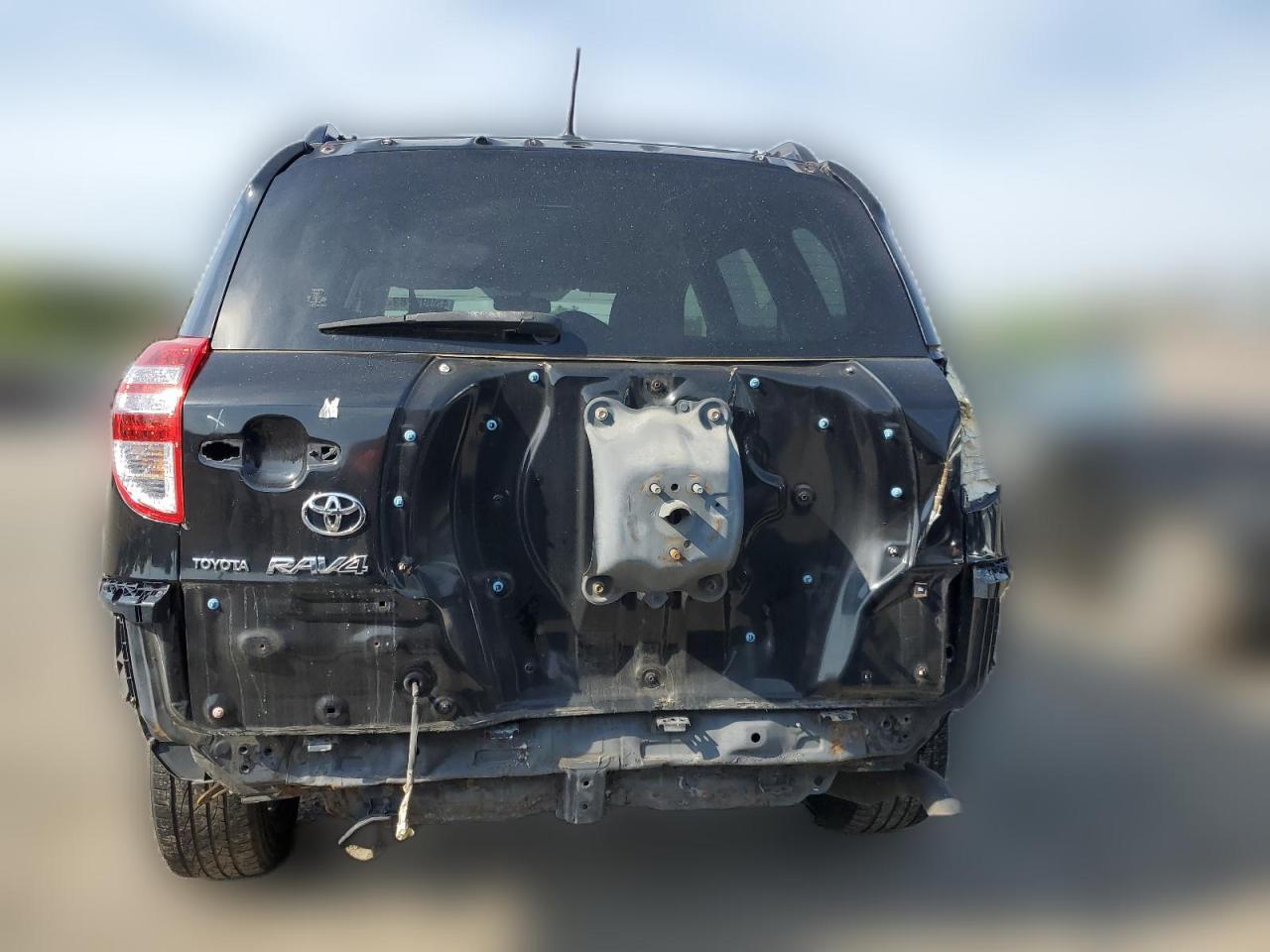 2010 Toyota Rav4 VIN: JTMBF4DV9AD023937 Lot: 45983783