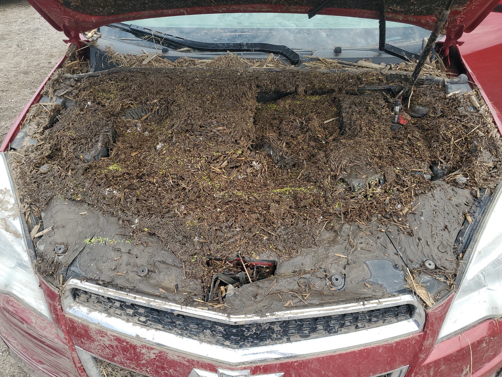 2GNFLEEK6D6252994 2013 Chevrolet Equinox Lt