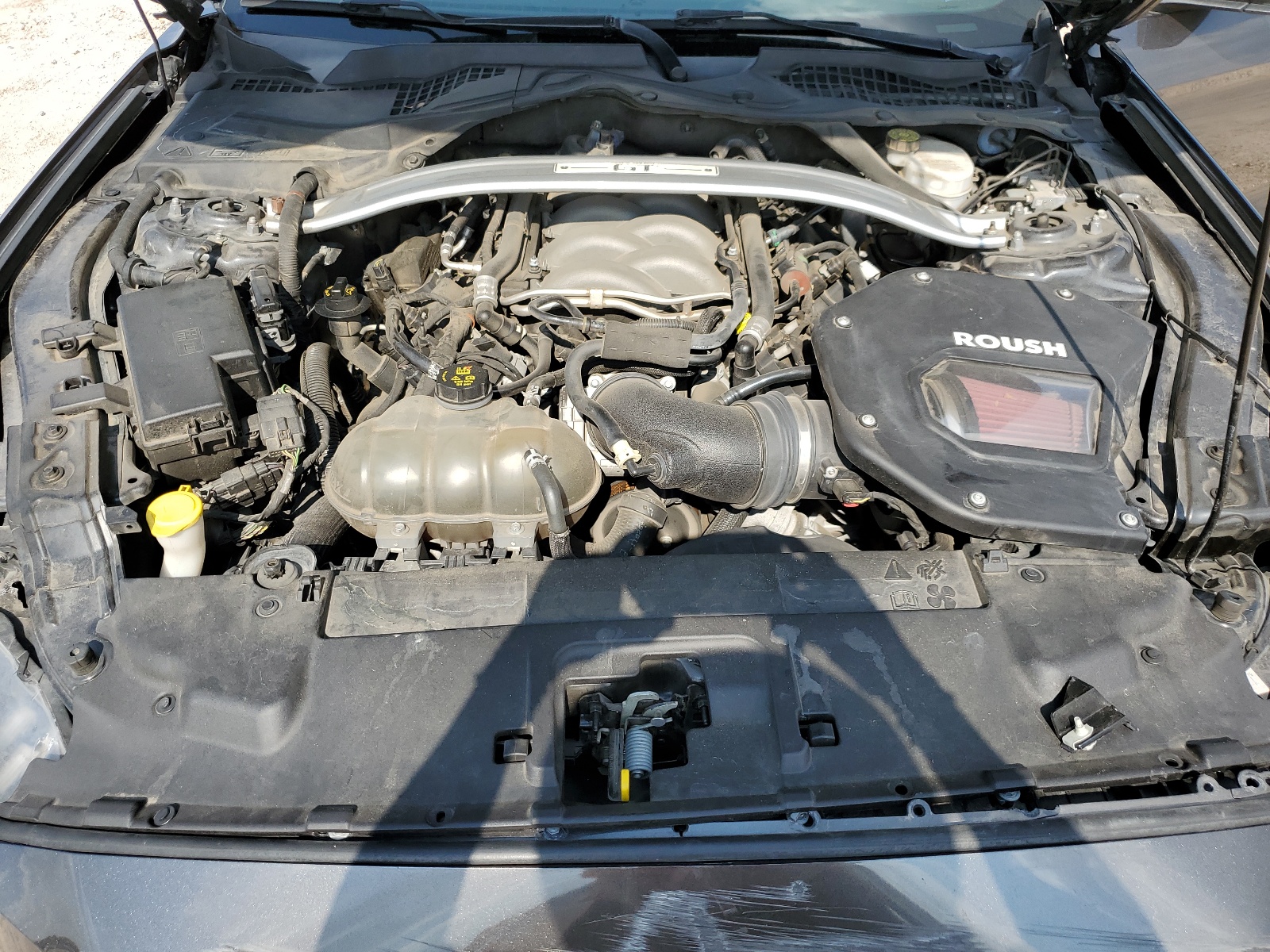 1FA6P8CF5K5115094 2019 Ford Mustang Gt