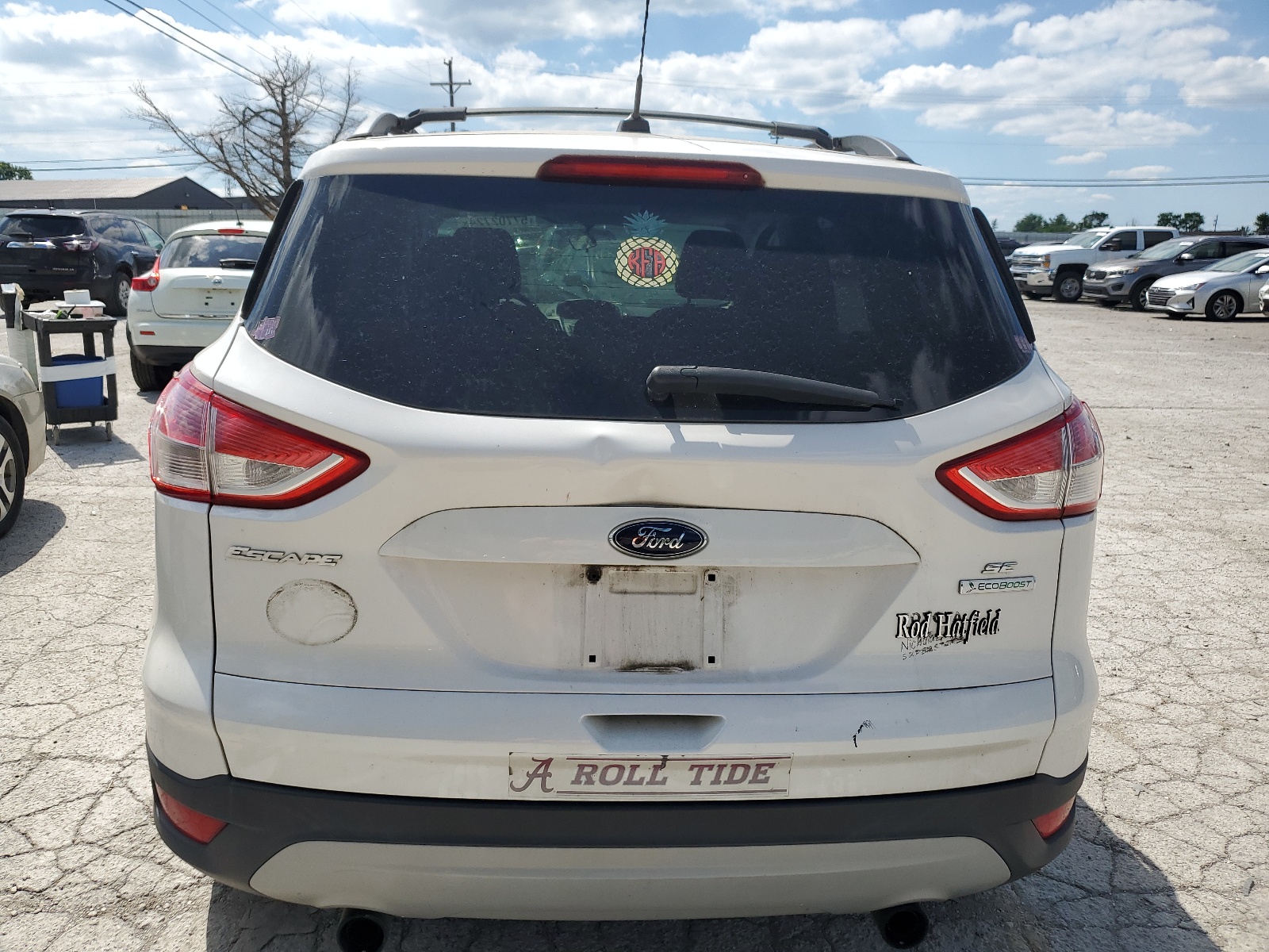 1FMCU0GXXDUD23096 2013 Ford Escape Se