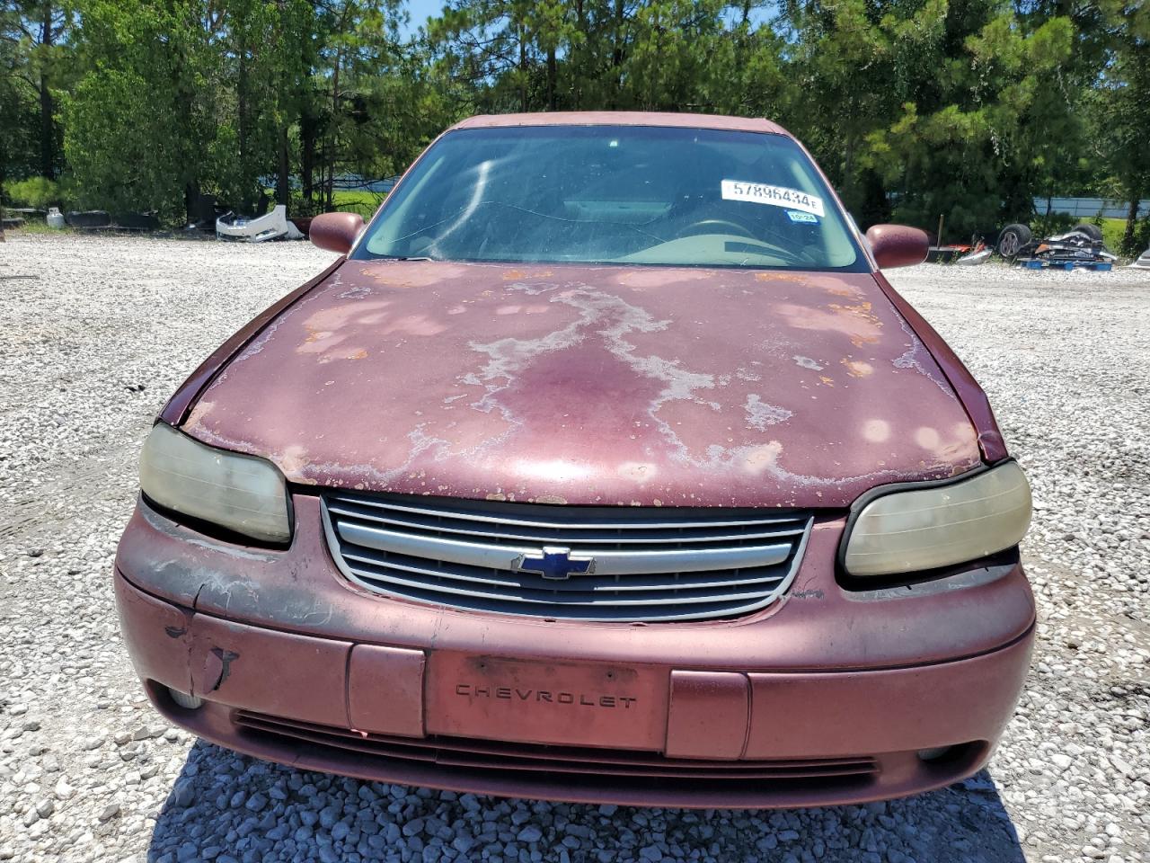 2002 Chevrolet Malibu Ls VIN: 1G1NE52J42M547867 Lot: 57896434