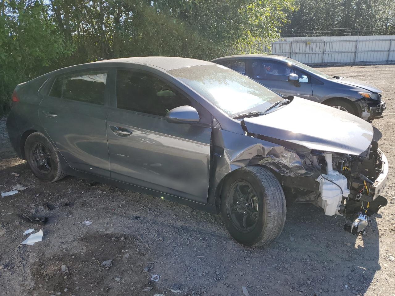 2019 Hyundai Ioniq Blue VIN: KMHC65LC9KU162697 Lot: 59895054