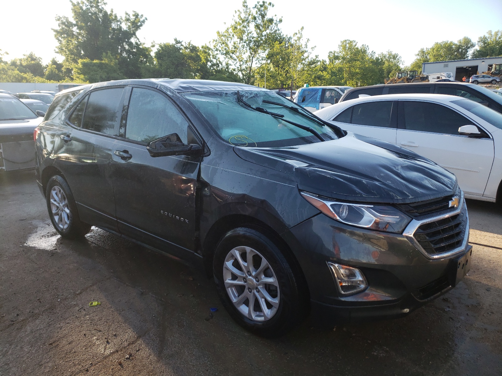 2019 Chevrolet Equinox Ls vin: 3GNAXHEV0KL201669