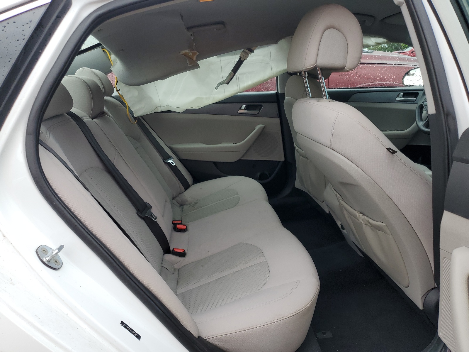 5NPE24AF1HH517901 2017 Hyundai Sonata Se