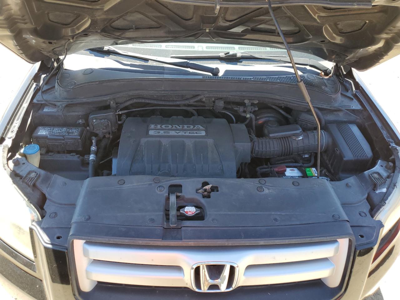 2007 Honda Pilot Exl VIN: 5FNYF18597B011338 Lot: 59312344