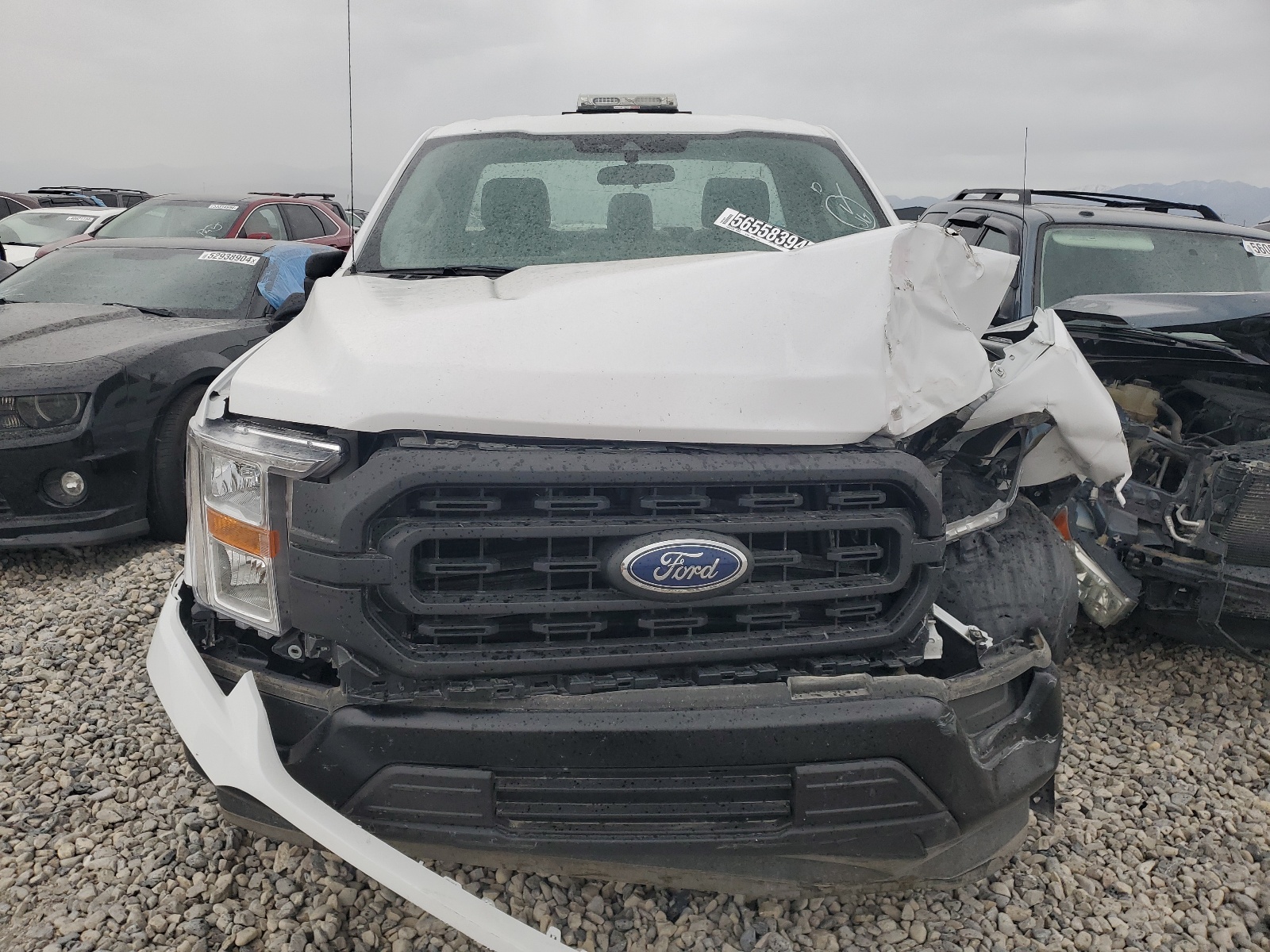 2021 Ford F150 vin: 1FTMF1CB7MKD83951