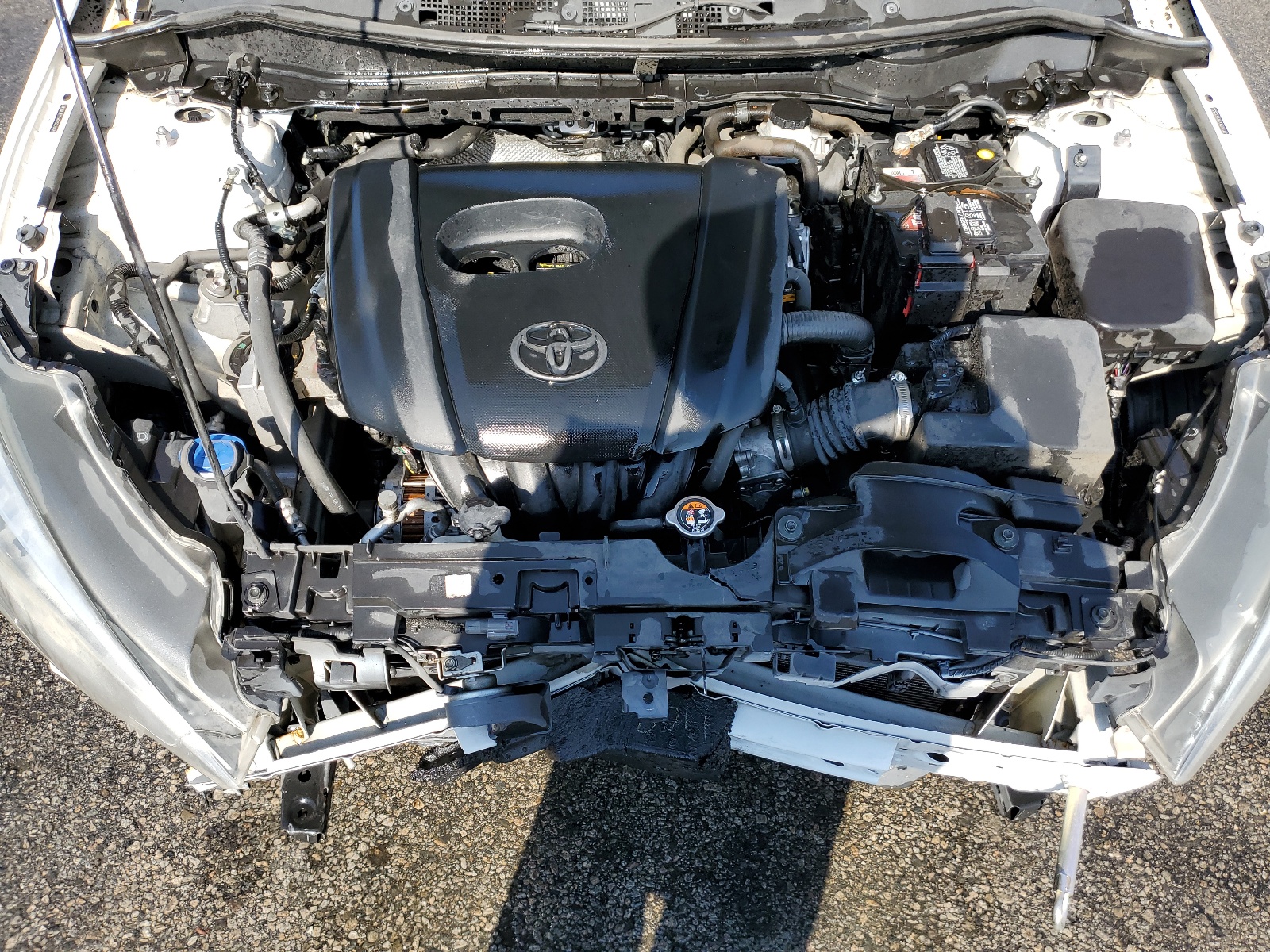 3MYDLBYV9KY523838 2019 Toyota Yaris L