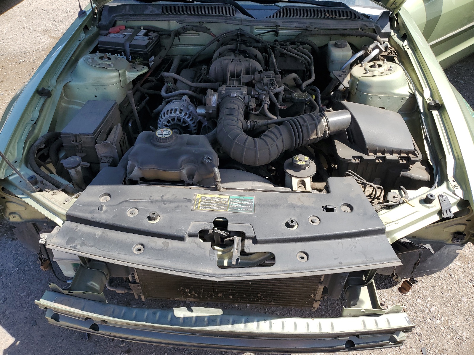 1ZVFT80N965252043 2006 Ford Mustang