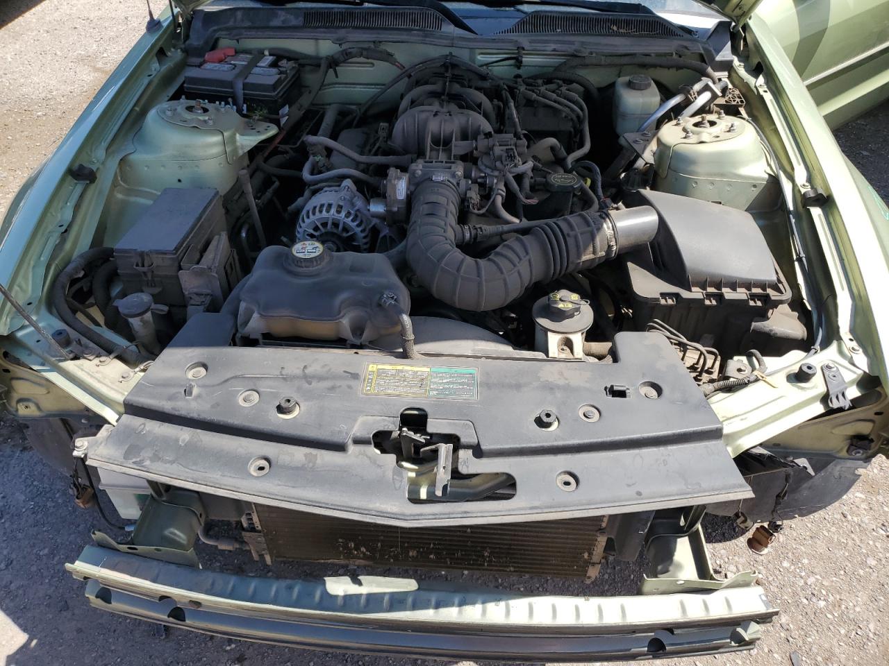 2006 Ford Mustang VIN: 1ZVFT80N965252043 Lot: 60470364