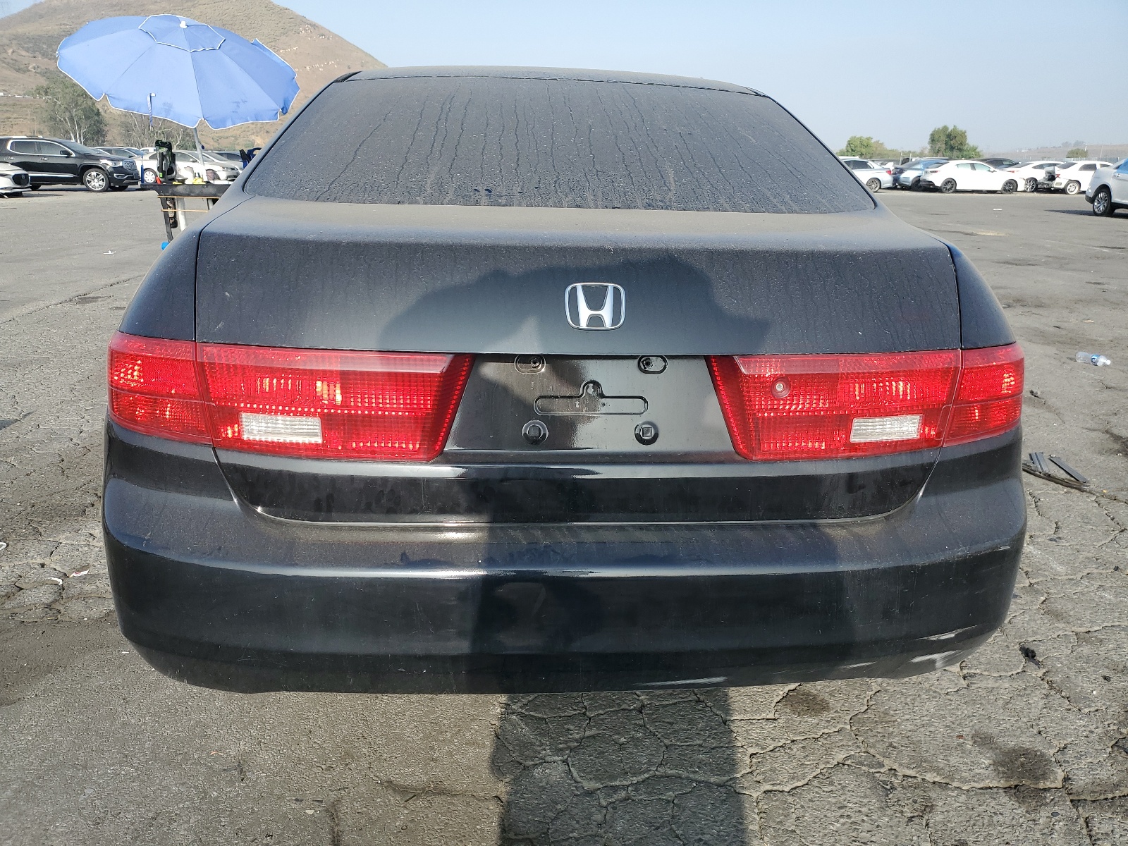 JHMCM564X5C006188 2005 Honda Accord Lx