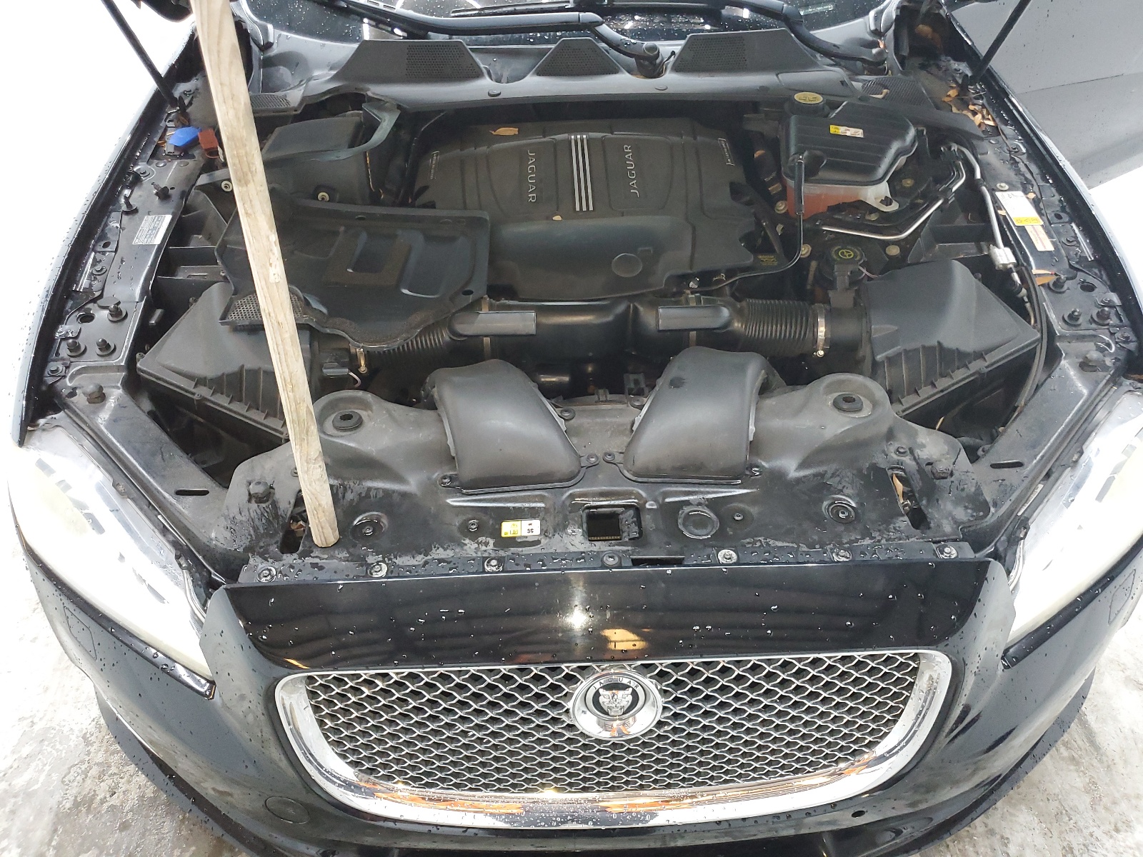 SAJWA1C76D8V40936 2013 Jaguar Xj