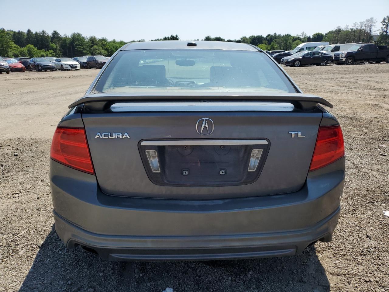 2006 Acura 3.2Tl VIN: 19UUA66216A070167 Lot: 61091904