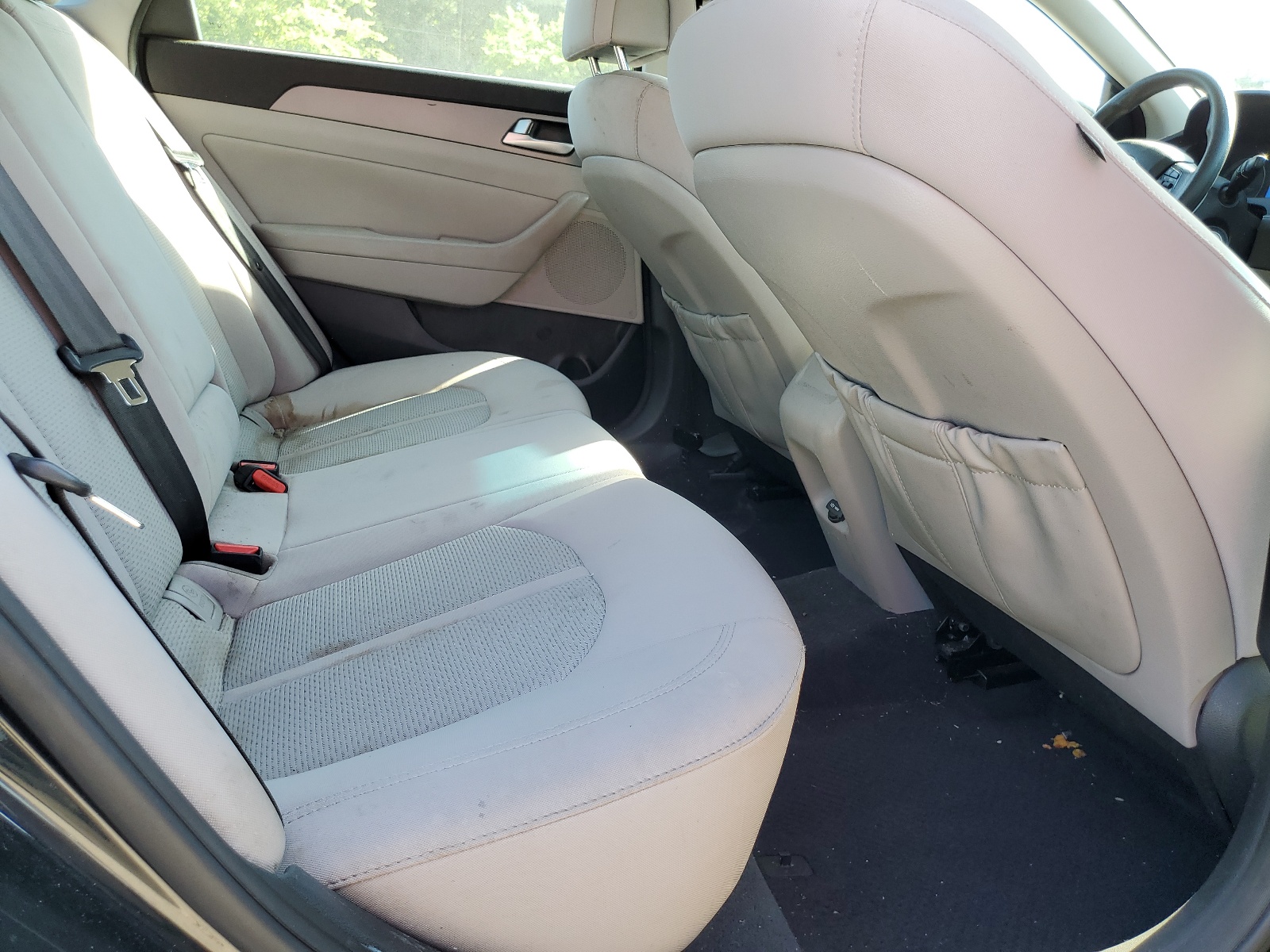 5NPE24AF5FH160641 2015 Hyundai Sonata Se