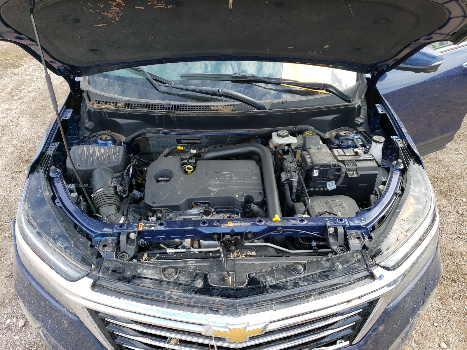 3GNAXXEG0PL101560 2023 Chevrolet Equinox Premier