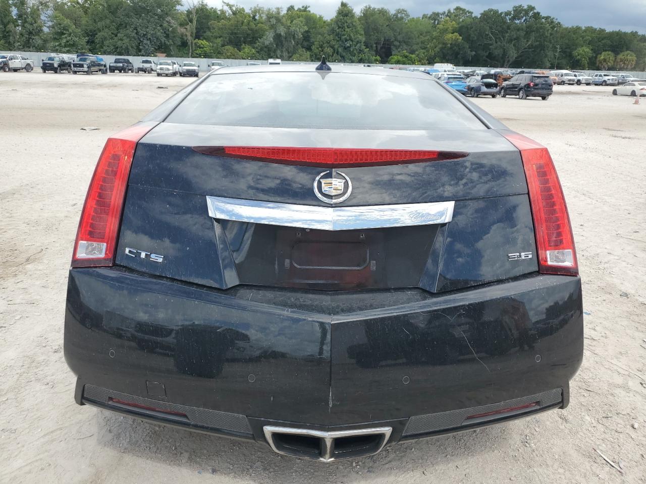 1G6DJ1E39D0123182 2013 Cadillac Cts Performance Collection