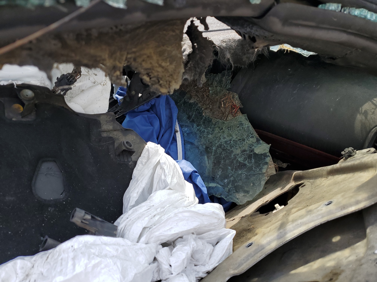 WBAFY4C0XNCJ81648 2022 BMW M850Xi