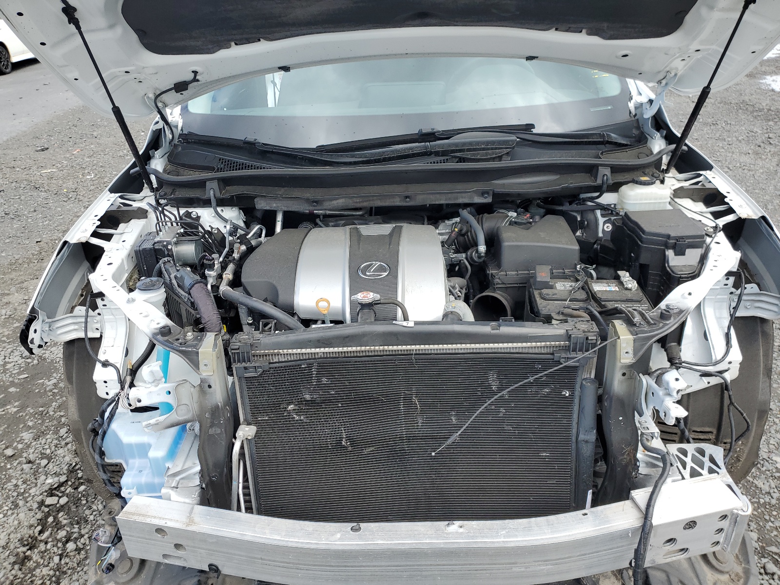 2T2BZMCAXKC209549 2019 Lexus Rx 350 Base