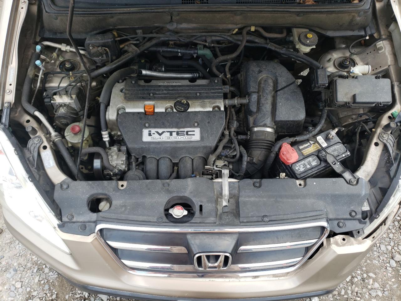 2006 Honda Cr-V Se VIN: SHSRD78906U405222 Lot: 57548154