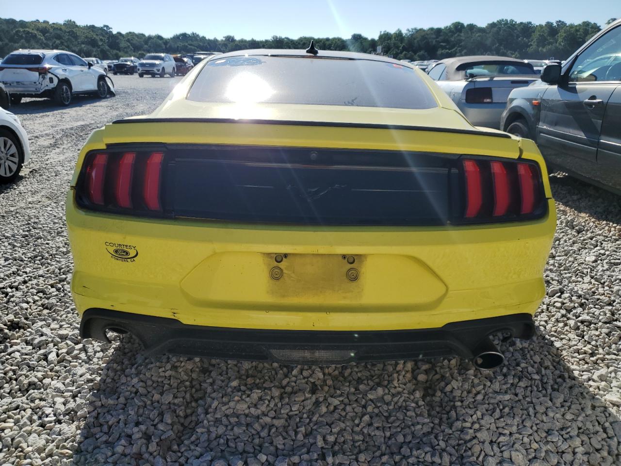 2021 Ford Mustang VIN: 1FA6P8TH7M5114565 Lot: 60444924