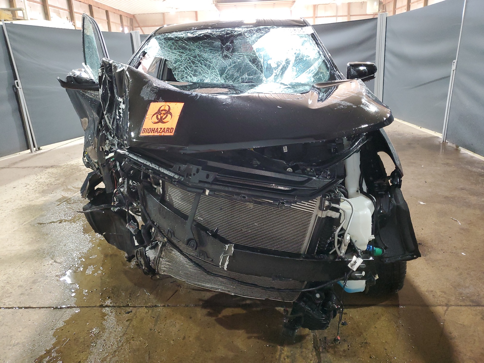 3GNAXKEV7KL244483 2019 Chevrolet Equinox Lt