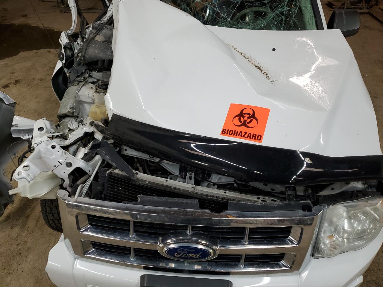 2011 Ford Escape Xlt VIN: 1FMCU9D79BKC39255 Lot: 59880104