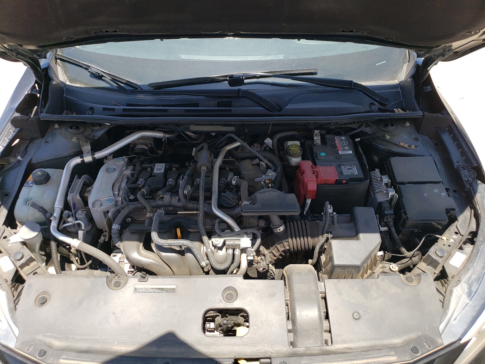 3N1AB8CV2MY230495 2021 Nissan Sentra Sv