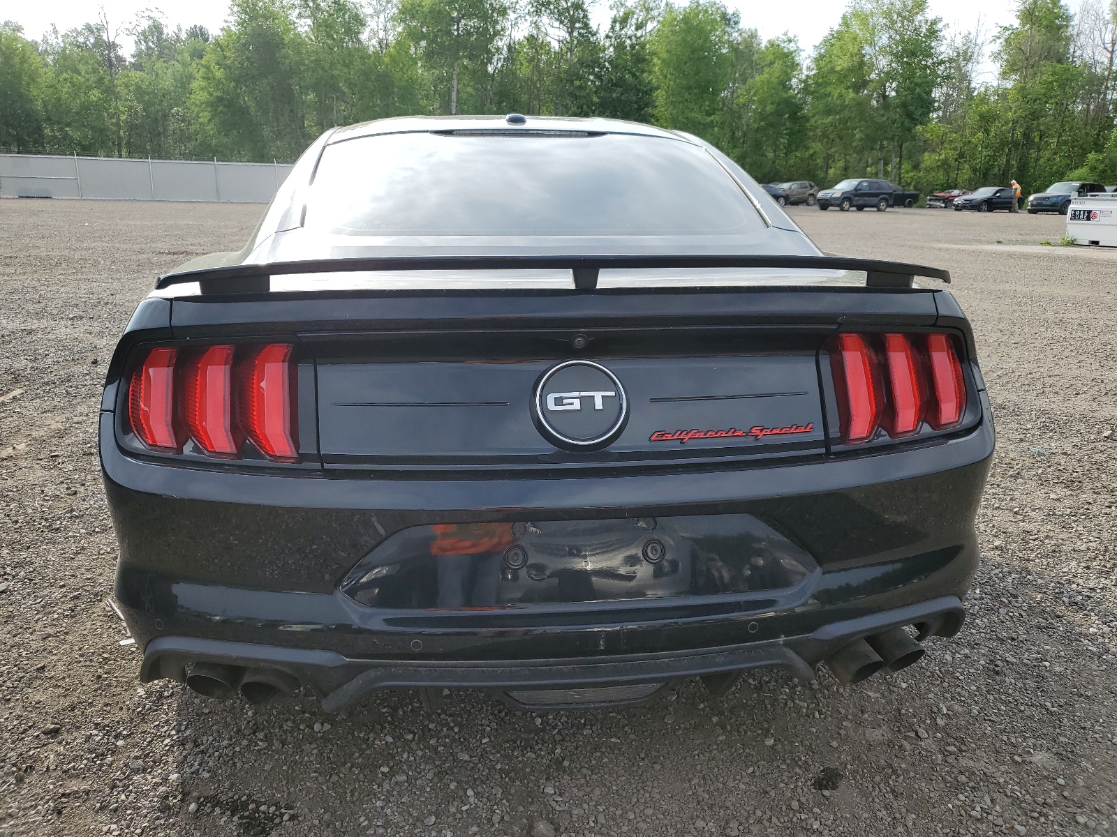 1FA6P8CF2K5154936 2019 Ford Mustang Gt